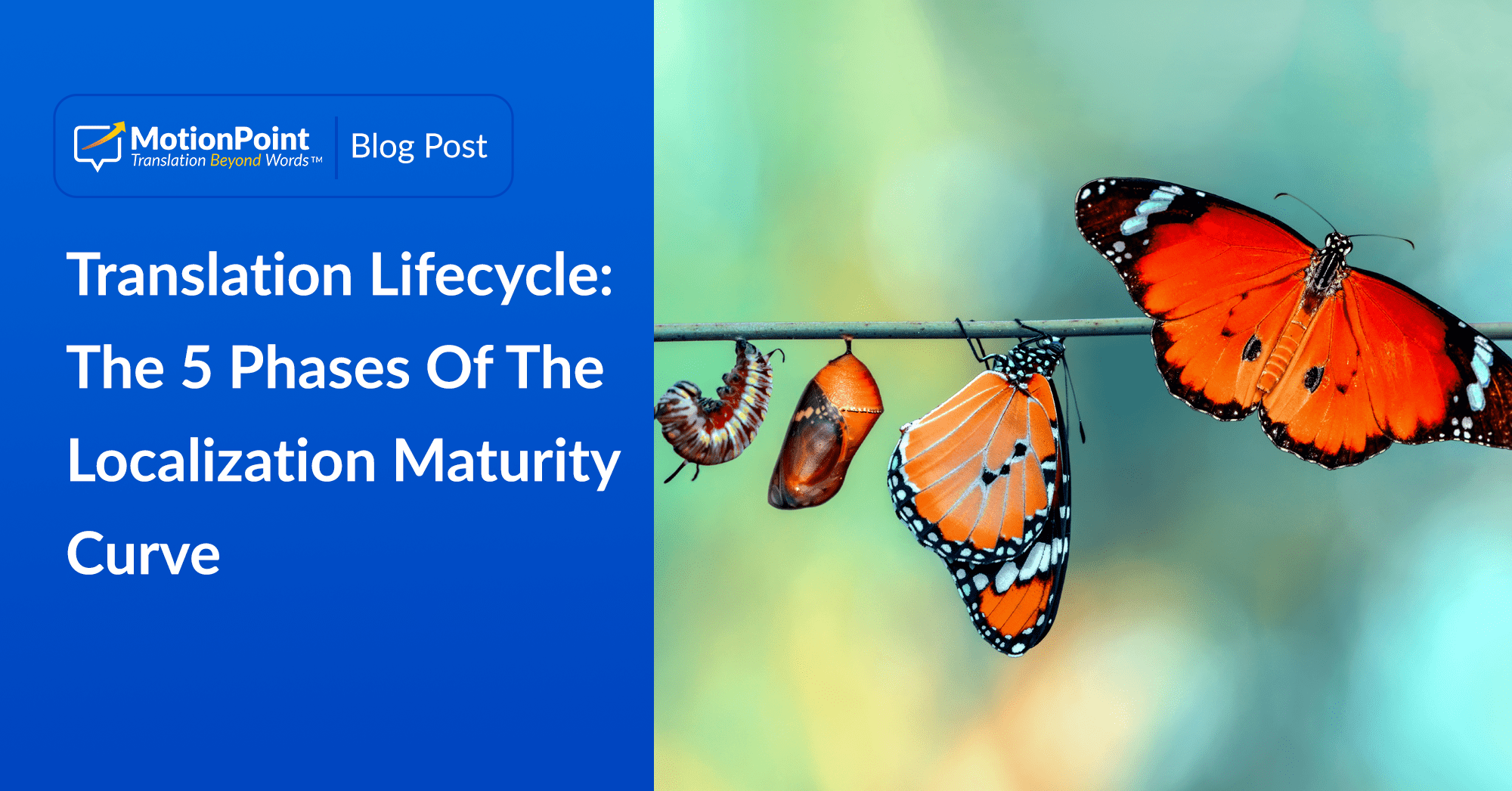 translation-lifecycle-what-phase-is-your-company-in